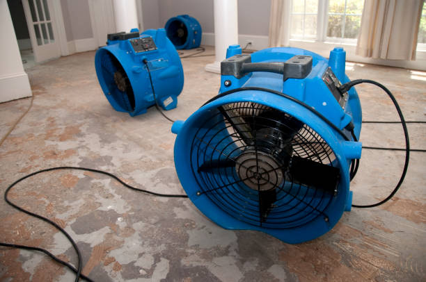 Best Ceiling water damage repair  in Clifton, TX