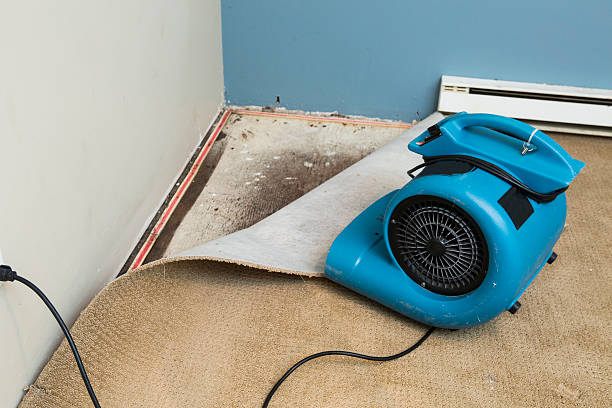 Best Water damage cleanup near me  in Clifton, TX